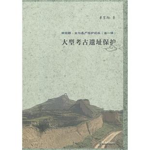 大型考古遗址保护单霁翔著天津大学出版 社