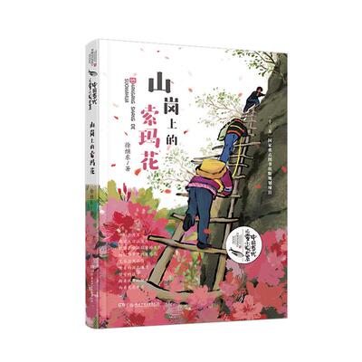 中国当代儿童小说大系:山岗上的索玛花(儿童小说)徐继东