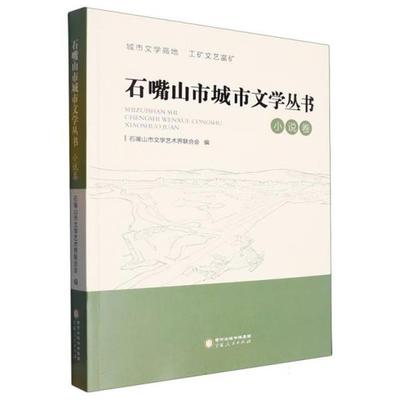 石嘴山市城市文学丛书(小说卷)石嘴山市文学艺术界联合会/编