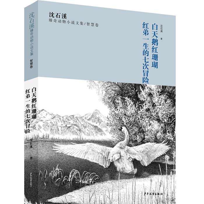 沈石溪臻奇动物小说文集沈石溪臻奇动物小说文集智慧卷《白天