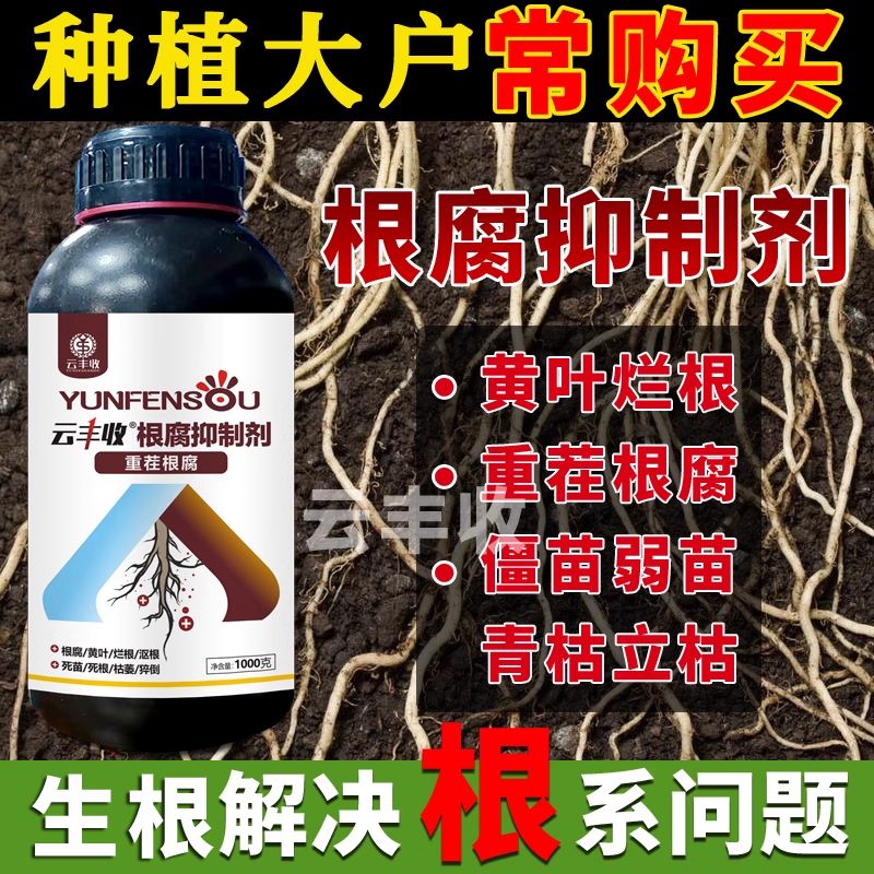 正品云丰收根腐抑制剂槟榔