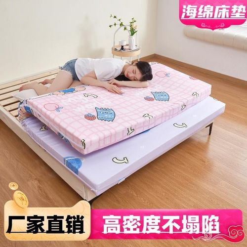 高密度海绵床垫j加厚家用1.5米床垫单人双人床垫定制榻榻米海绵垫