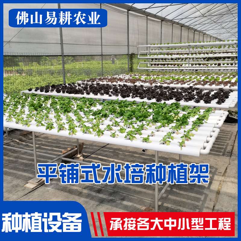 管道平铺式水培蔬菜种植设施大型水培设备水耕无土栽培现代化农业
