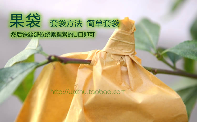 桃袋 果c袋套袋 水果纸袋 桃子套袋育果袋 防水防虫防鸟柑橘袋包