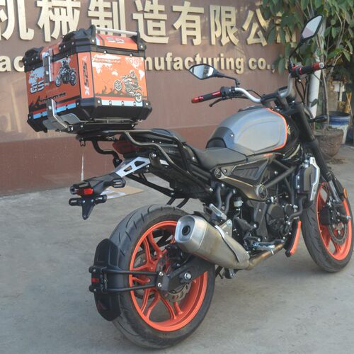 适用于隆鑫无f极300AC摩托车300AC后货架尾架尾箱支架改装配件无