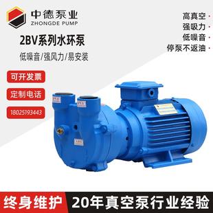 真空泵 2BV水环式 东莞厂家直销高压小型抽气压缩机增压配件水环泵