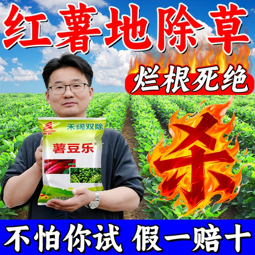 红薯苗后除草专用剂禾阔双除安全不伤苗红苕番薯地瓜红薯地肥料