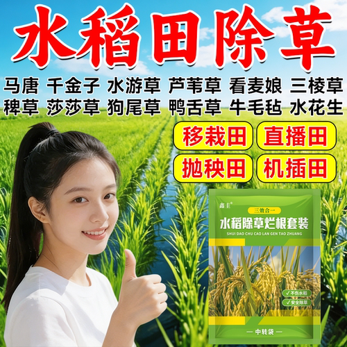水稻田苗后除草专用烂根剂稗草千金子牛筋草水花生直播田杂草肥料