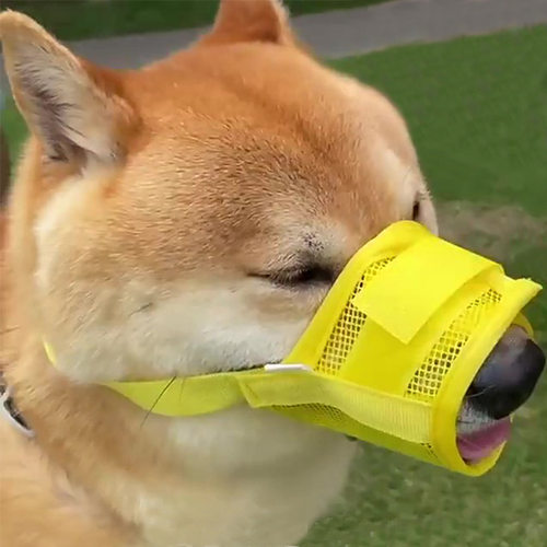 狗嘴套防毒小型犬防乱吃大型犬防咬防叫马犬狗嘴金毛小狗柯基法斗