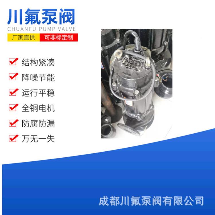 污水泵抽粪泥浆耦合纯铜污水排污泵不阻塞潜水排污泵大流量铸铁泵