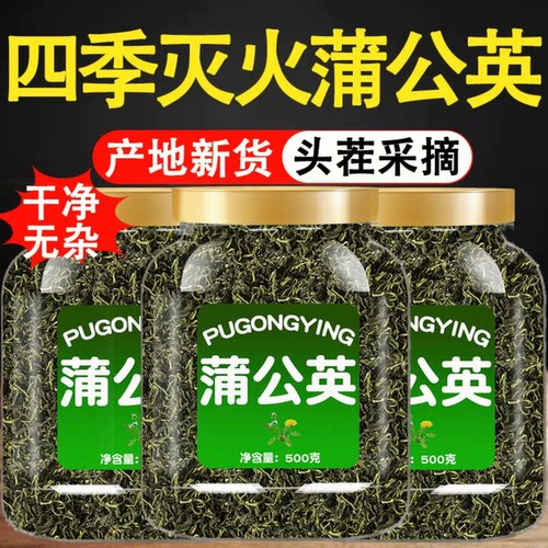 蒲公英茶官方旗舰店正品长白山特级野生浦公英叶根中药材新鲜泡水