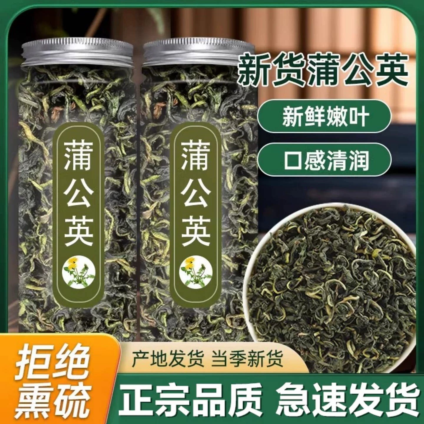 蒲公英茶新鲜纯野生婆婆丁天然正品特级泡水喝干草浦公英中药材根