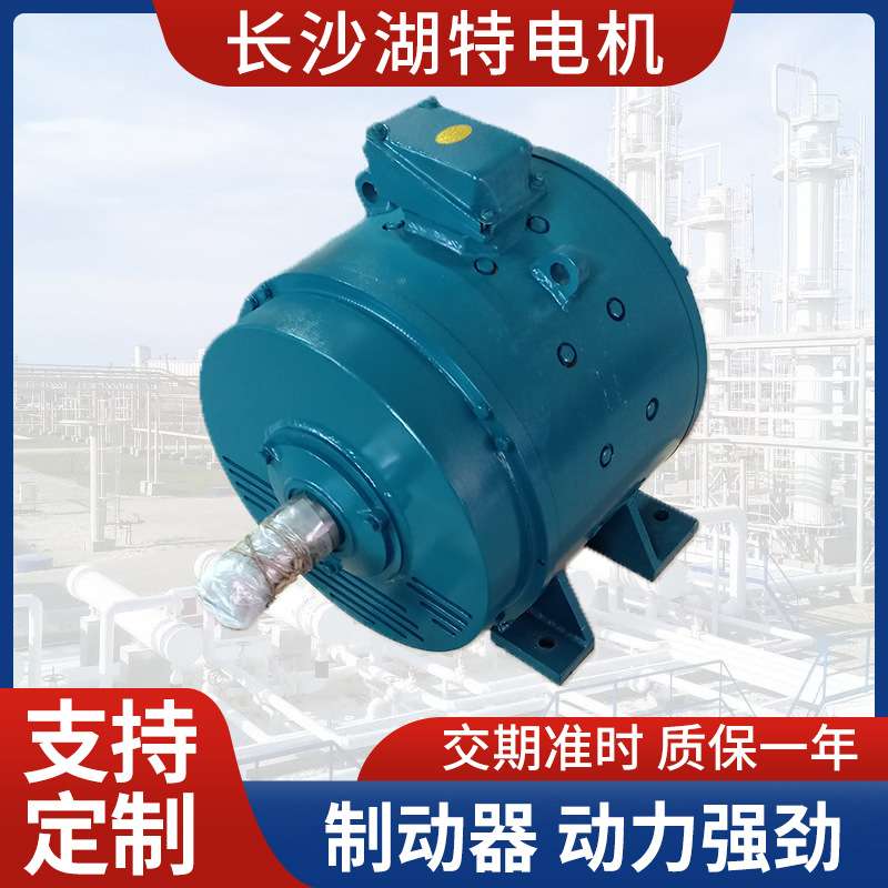 生产电话WZ280-620N.m涡流制动器