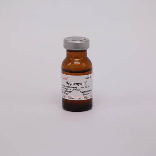 H8080潮霉素B（液体）HygromycinB科研用31282-04-9
