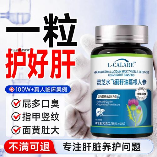 水飞蓟灵芝葛根人参解酒护肝片