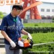 科赛绿篱机汽油修剪机双刃绿篱剪二冲宽带修剪机篱笆剪修枝机