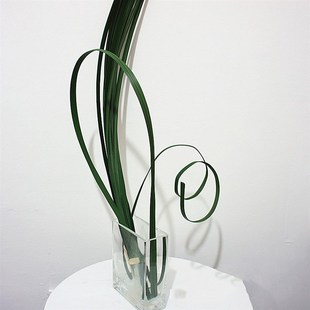仿真花假花 插花线条造型材料 仿真剑叶扁草18片细叶假花