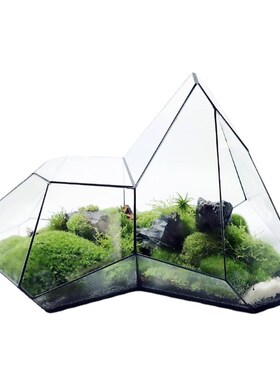 微景观苔藓雨林缸几何森林墙玻璃花房不规则生态瓶多肉水草缸花盆