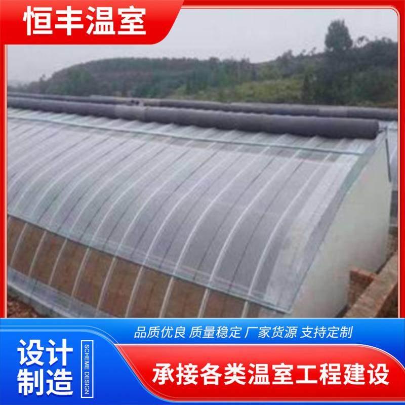 温室大棚安装搭建施工花卉蔬菜培育大棚日光温室大棚建设厂家