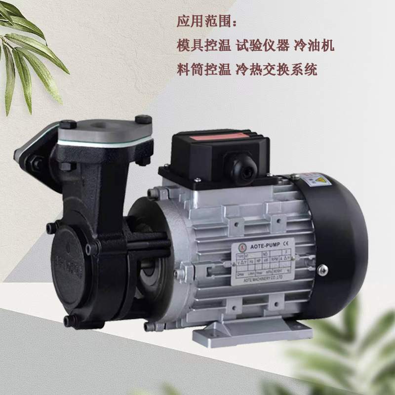AOTE-PUMP高低温泵模具恒温控温机用油泵铸铁AT-A齿轮泵旋涡泵