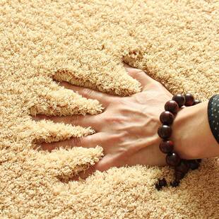 北欧风羊毛地毯卧室满铺可爱加厚水洗睡房客厅茶几地垫白色床边毯