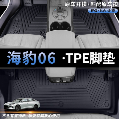 海豹06DMI专用TPE全车脚垫