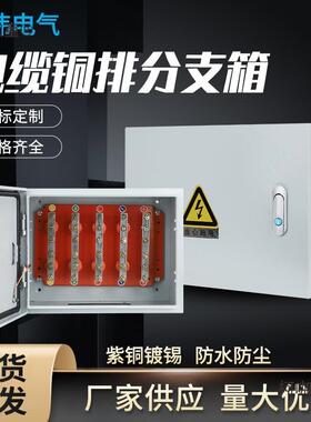 排T接箱低压电缆分支箱bttrz国标矿物接地保护箱端子分流箱麦太保