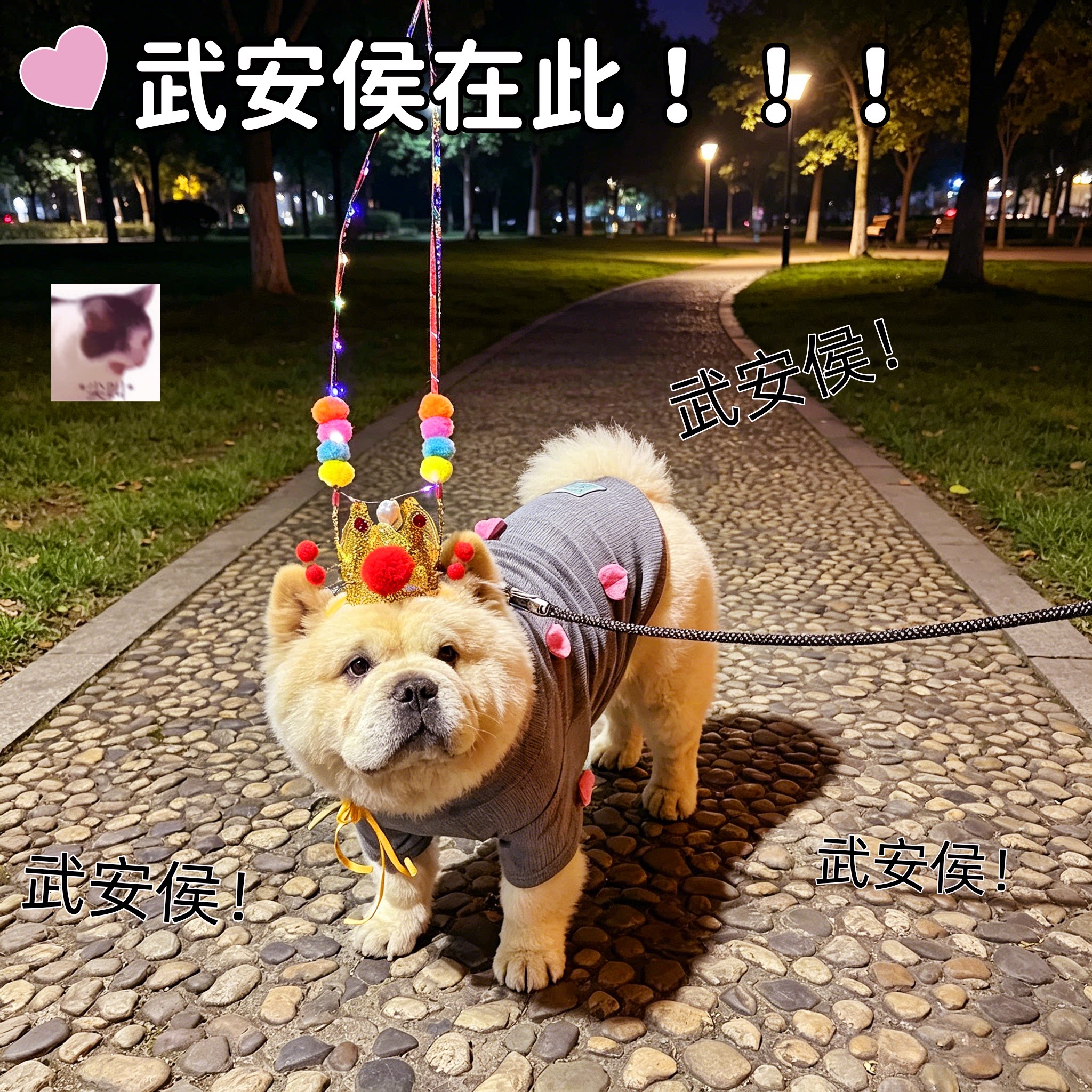 狗狗玩具宠物孙悟空头饰发光状元帽齐天大圣头冠带灯创意装扮道具