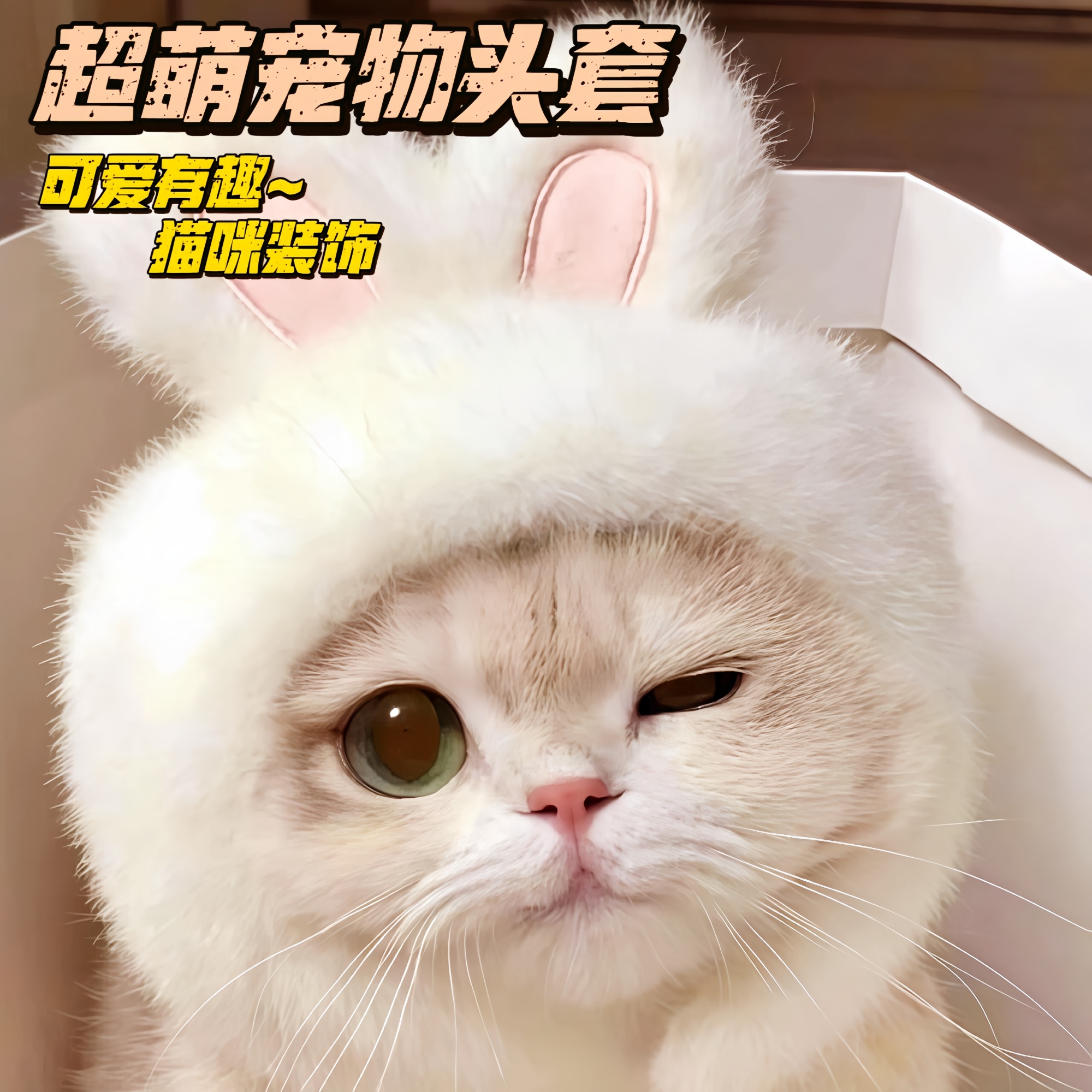 猫咪可爱搞怪变装帽宠物帽子金渐层英短德文狗狗汉堡头套卡通头饰