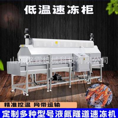 液氮网带式速冻机果蔬单体隧道式单冻机液氮锁鲜速冻设备