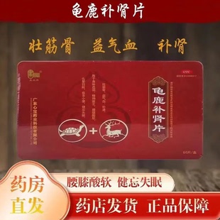 星辰龟鹿补肾片60片壮筋骨益气血补肾精神疲乏失眠正品