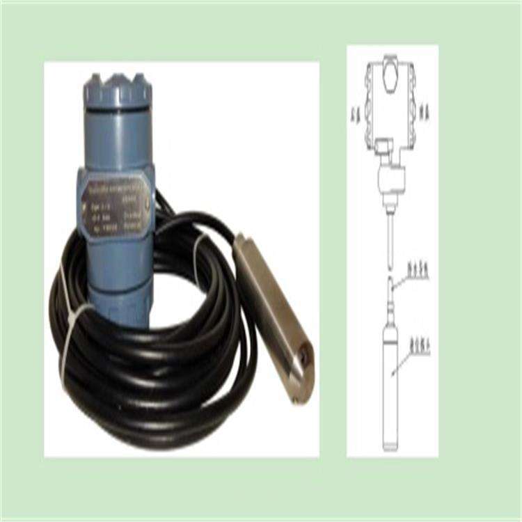 北京投入式压力水位计 型号:LS100-YP-P10   库号：M39139