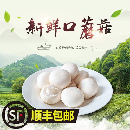 顺丰冷链口蘑新鲜白蘑双孢菇火锅食材基地直发一整箱