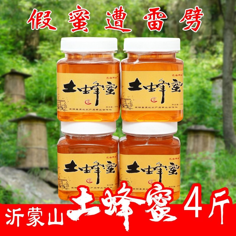 纯正蜂蜜沂蒙山土蜂蜜4斤 采集野山花《可做酵素》 深山蜜源