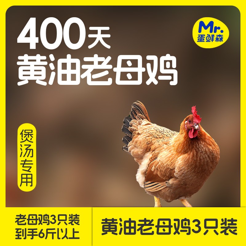 蛋鲜森黄油老母鸡3只装谷饲喂养煲汤炖汤每只净重2斤