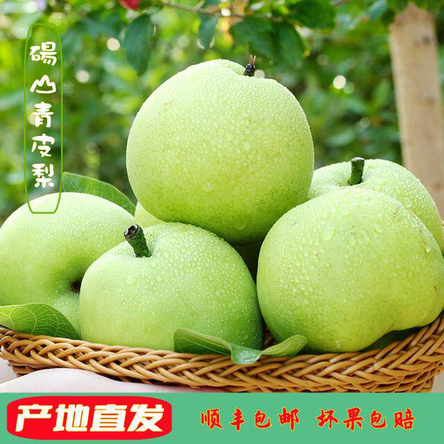 正宗砀山青皮蜜梨清甜多汁皮薄化渣应季新鲜水果煮水润喉产地直发