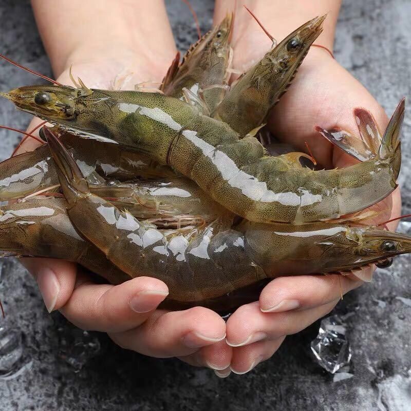 原箱净重3.3斤20/30海洋青虾新鲜大虾南虾速冻 连云港发货