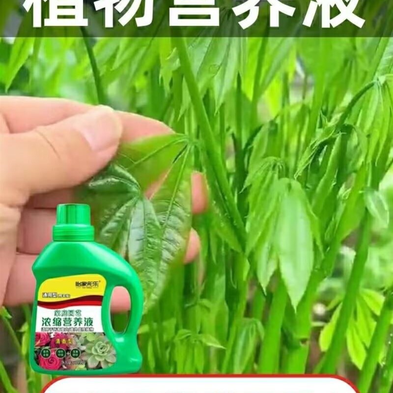 植物营养液通用型绿植僵苗黄叶急救土培水培盆栽花卉花肥液体肥料