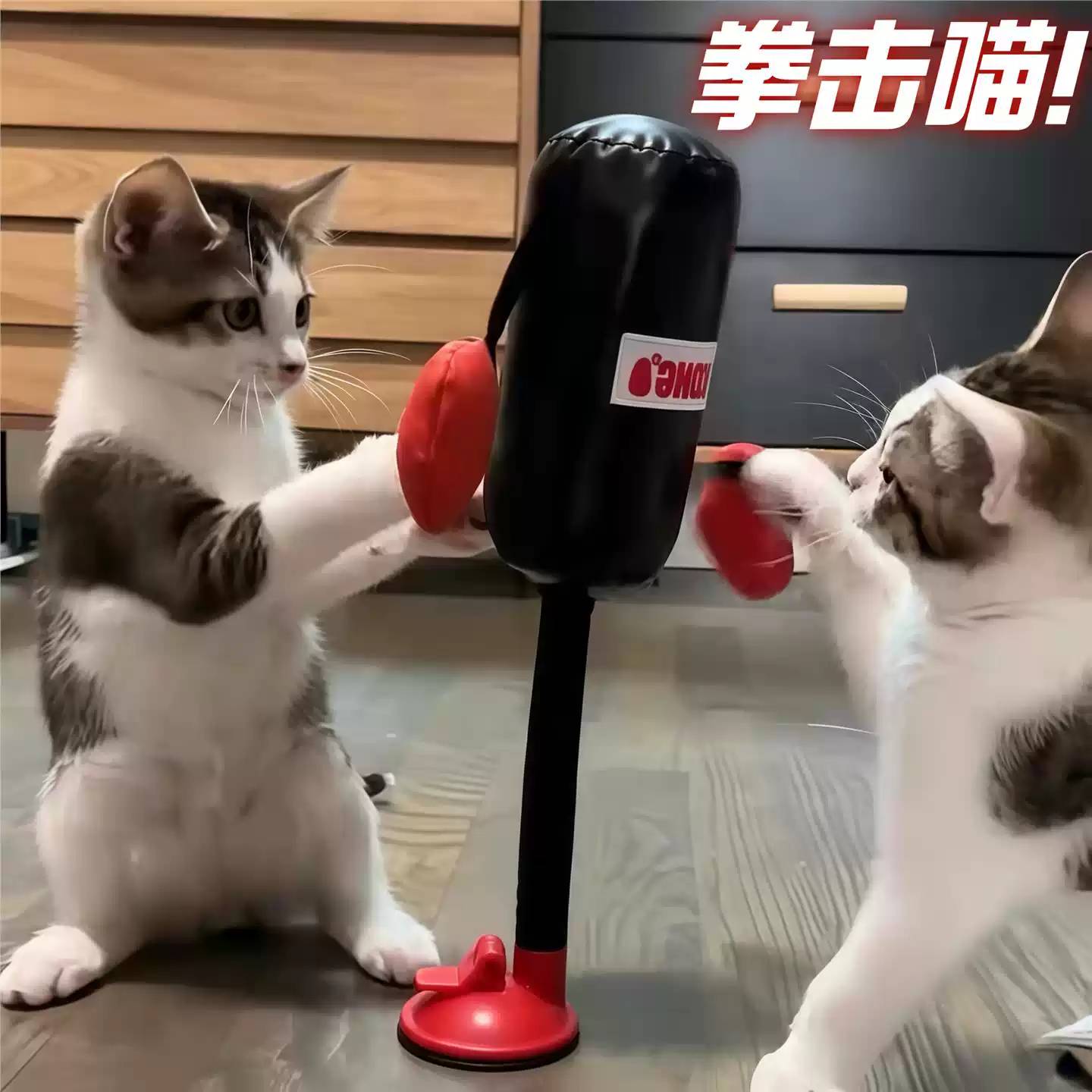 吸盘立式猫咪拳击玩具小猫自嗨