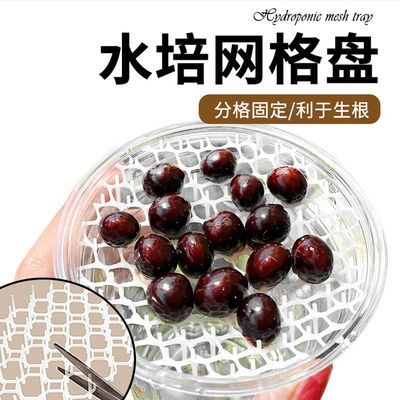 水培网格盘阳台无土栽培保湿透气育苗盘水培荔枝桃子茨菇固定支架
