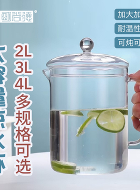 高硼硅玻璃壶2L/3L/4L超大容量耐高温烧水壶可加热冷饮壶2025新款