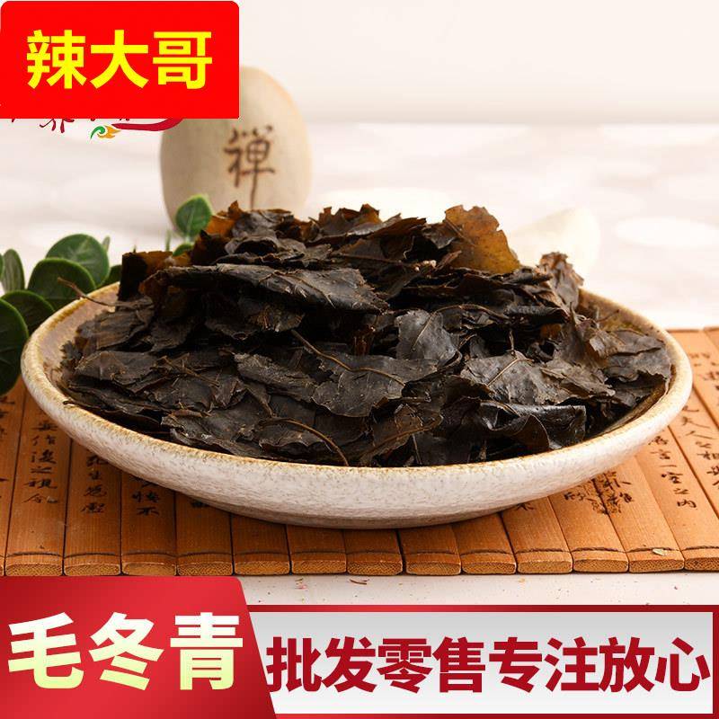 供应 大量现货 毛冬青叶 毛冬青茶 大叶 苦丁茶
