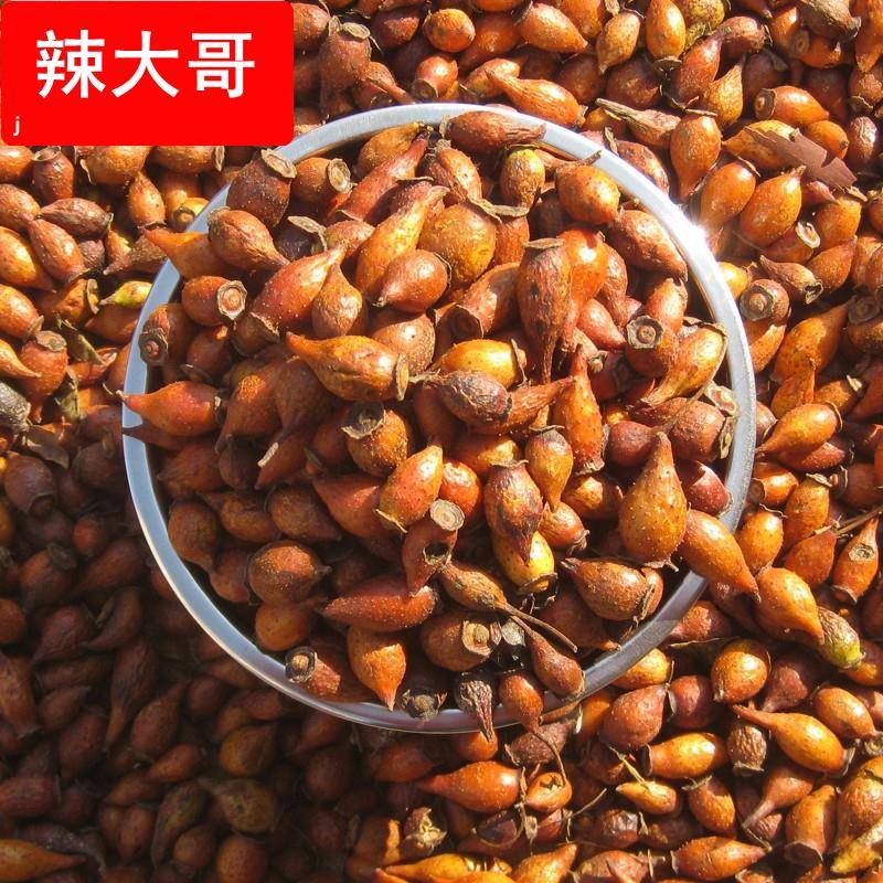 新晒金樱子干新货刺果刺梨金英子500g包邮泡酒煲汤广东梅州