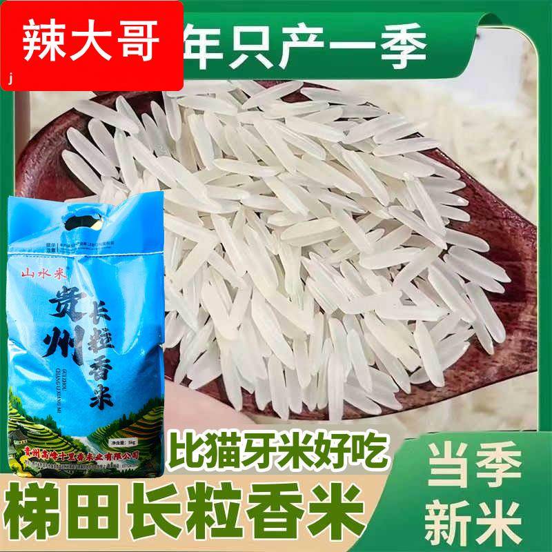 贵州长米梯田长粒香米晚稻农家米自种软米长粒香米细粒优质大米