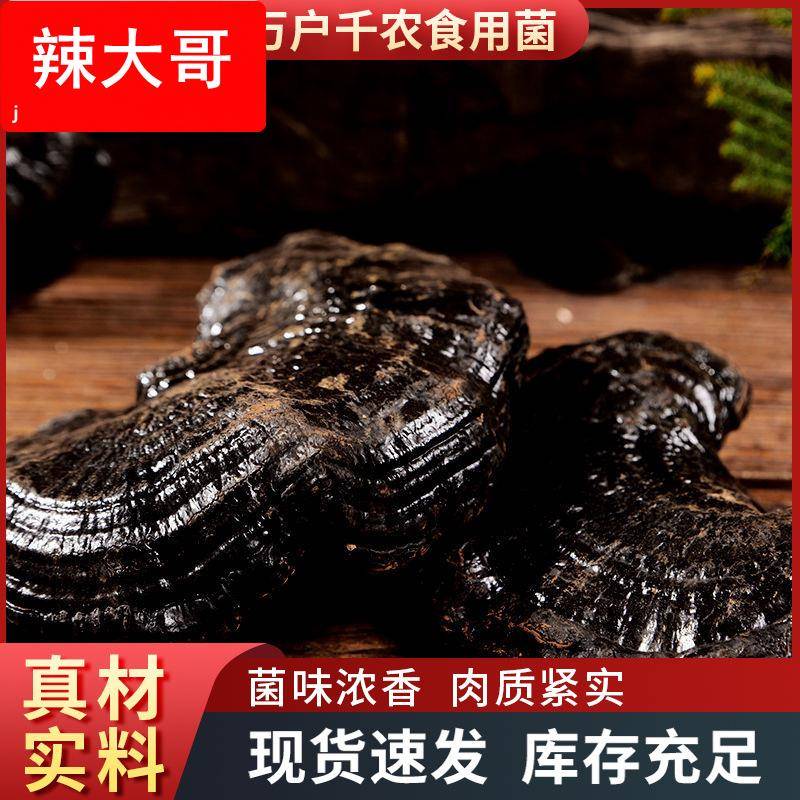 山东 现货黑灵芝小灵芝 打粉煲汤酒店送礼滋补干货