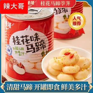桂花马蹄清水荸荠罐头去皮马蹄水果罐头地梨即食健康糖汤水