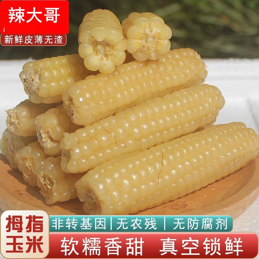 云南西双版纳拇指小玉米新鲜手指花香糯玉米黏早餐即食真空甜玉米