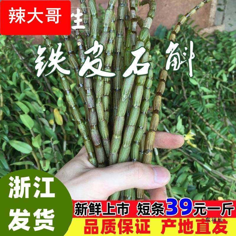 新鲜铁皮石斛鲜条500g乐清雁荡山四年生枫斗石斛浙江安徽材干