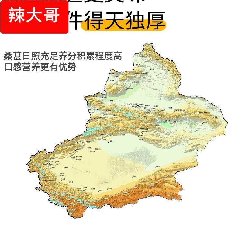 新鲜桑葚干免无沙洗桑甚干桑椹子黑桑葚干500g包邮