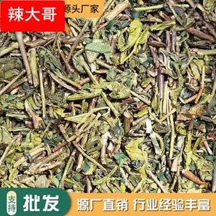 糯米香绿茶糯香柠檬青青糯山麒麟大口茶底糯香云南绿茶碧螺春烘青
